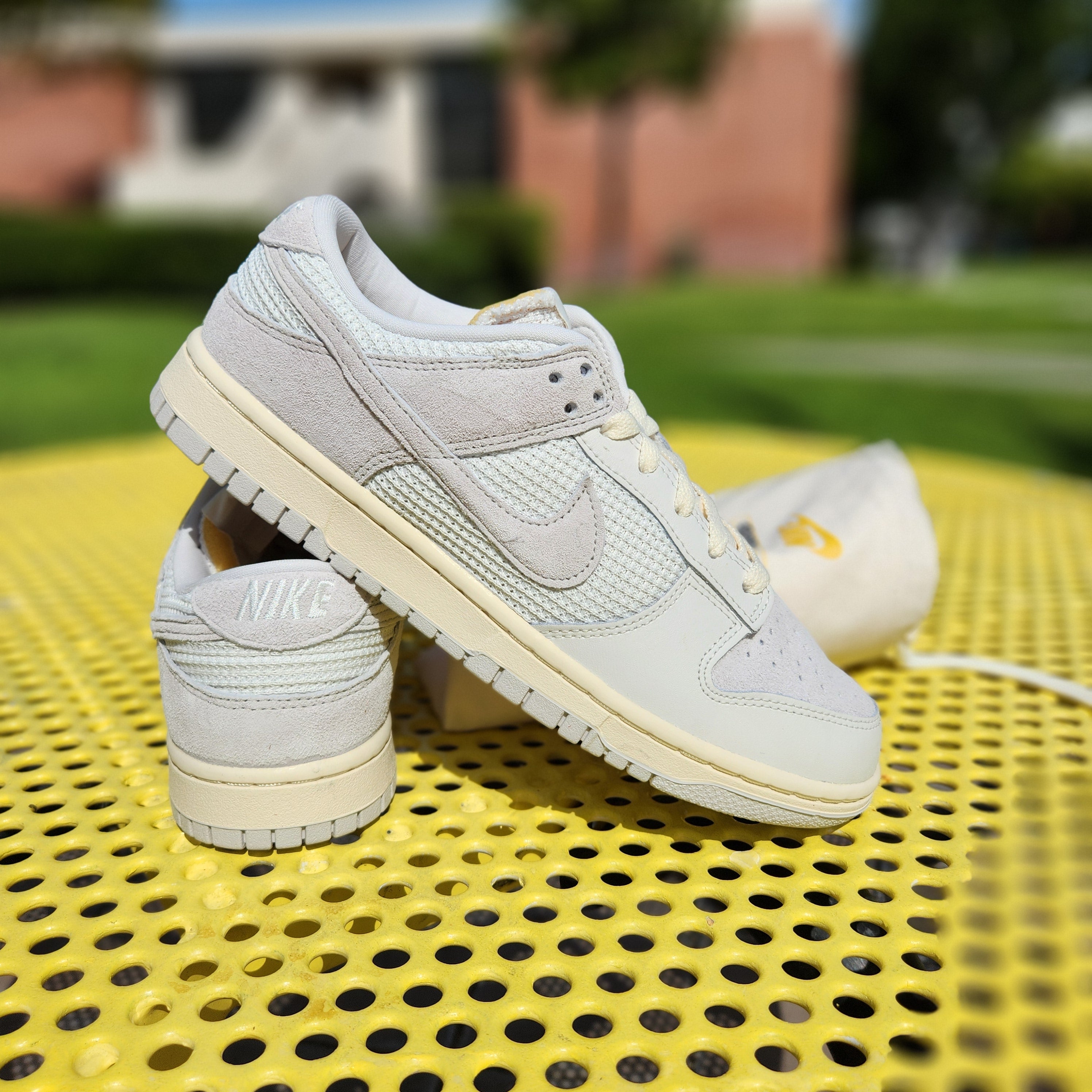 Nike Dunk Low 