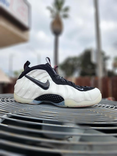 Nike Air Foamposite Pro