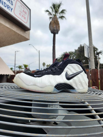 Nike Air Foamposite Pro