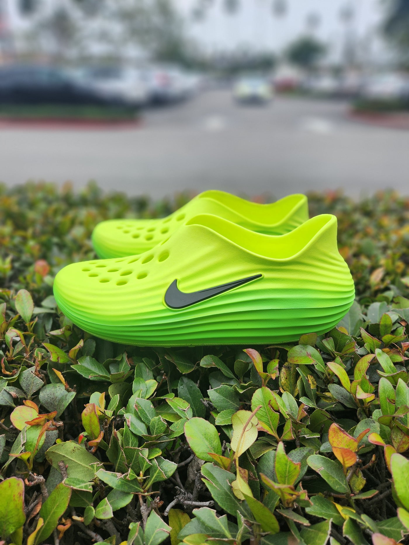 Nike ReactX Rejuven8N 'GRINCH'