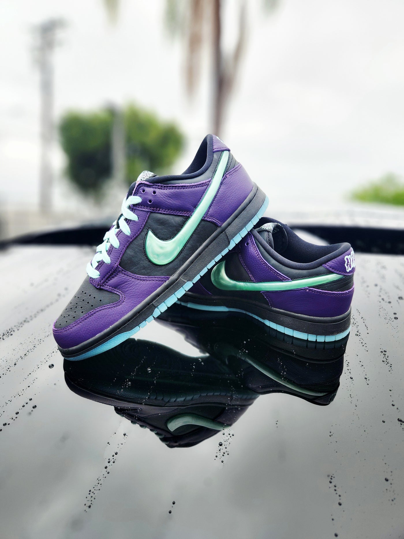 Nike Dunk Low Retro Limited