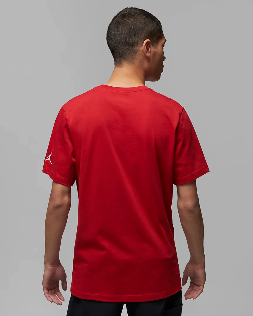 Jordan Air Men's Embroidered T-Shirt