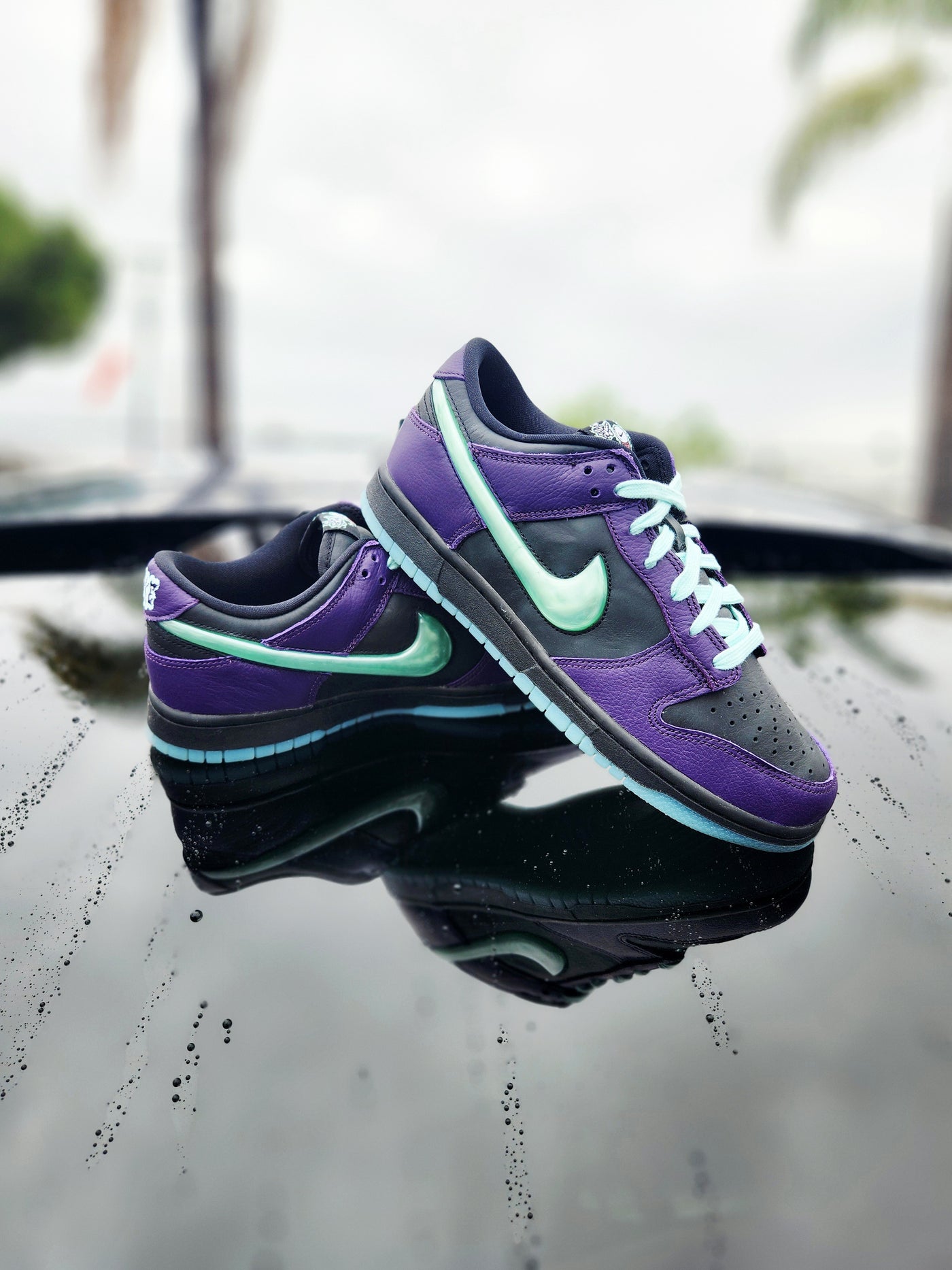 Nike Dunk Low Retro Limited