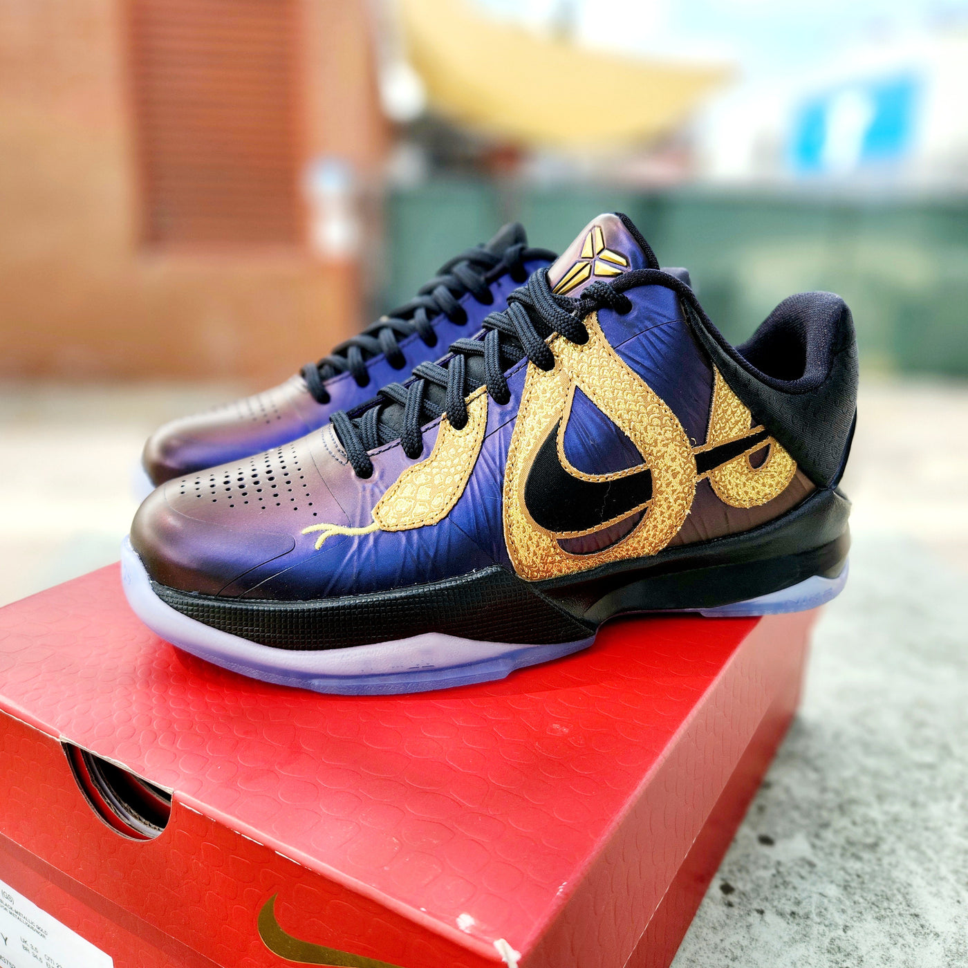 Nike V Kobe 'Year of the Mamba Eggplant' GS