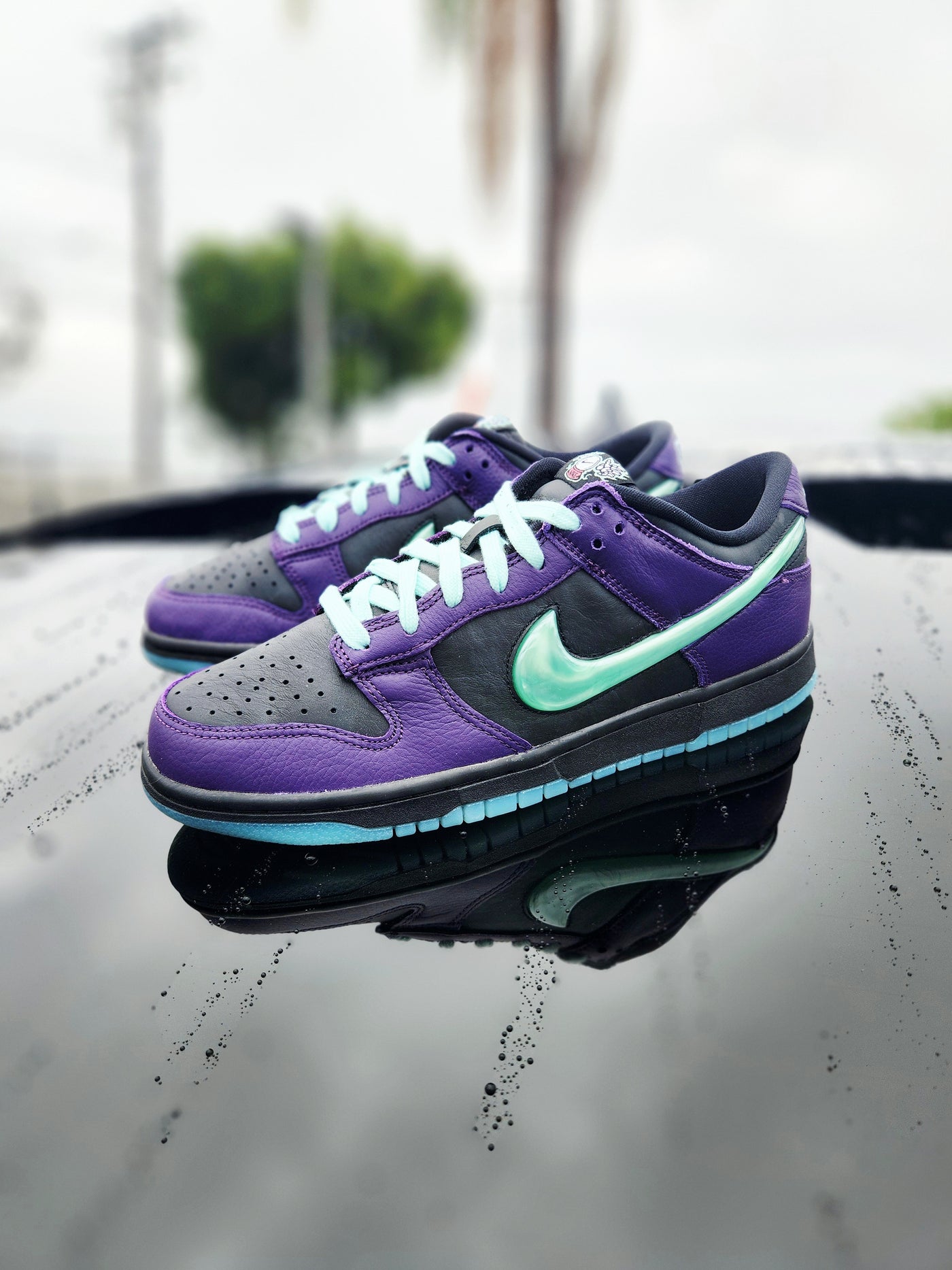 Nike Dunk Low Retro Limited