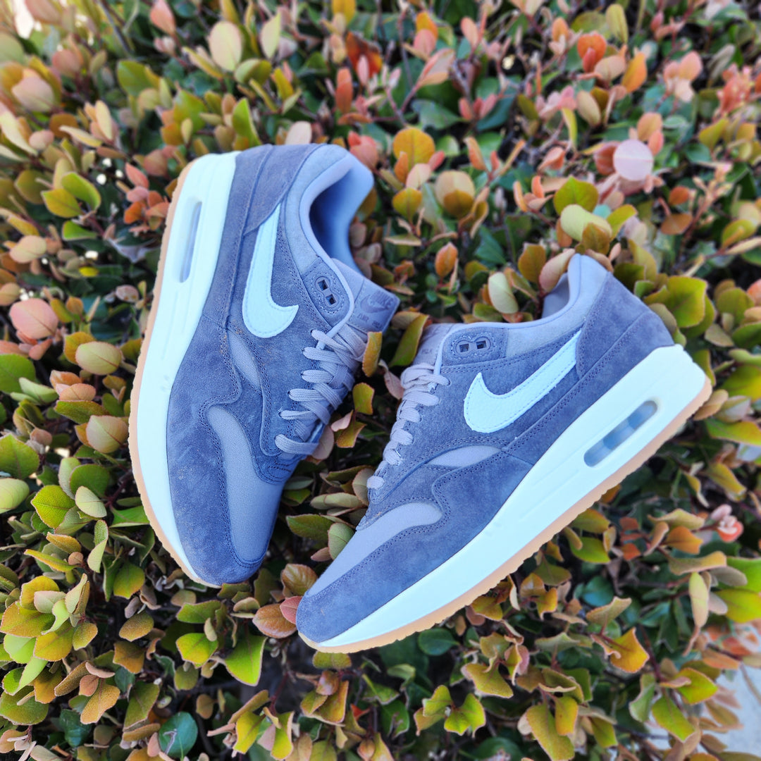 nike air max 1 premium neutral indigo