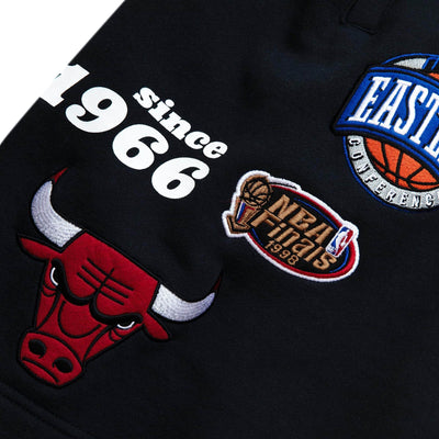 Team Origins Fleece Short Chicago Bulls