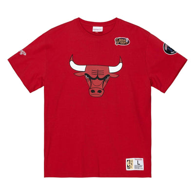 Mitchell & Ness Team Origins S/S Top Chicago Bulls Red